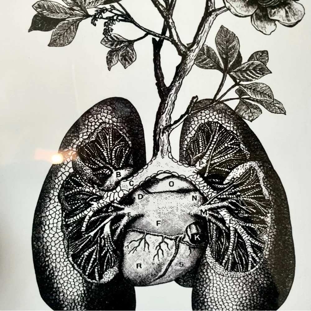 Rooted in Nature Art Print - Picture 2 of 2